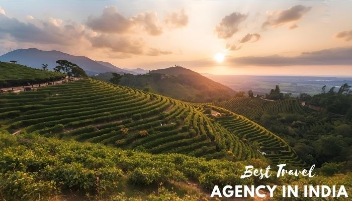Best Travel Agency in india 